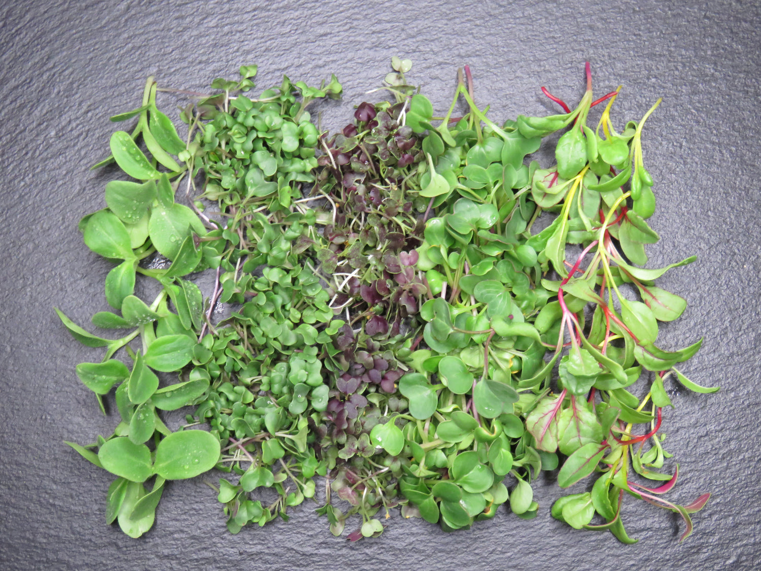 Microgreens