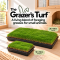The Grazer Turf