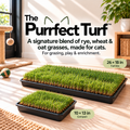 The Purrfect Turf