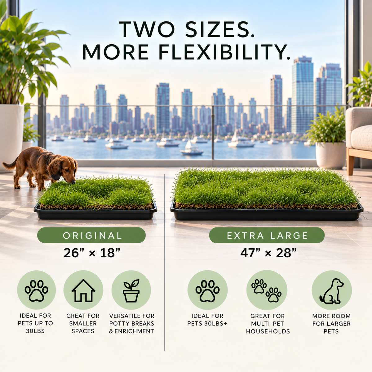 The Urban Turf