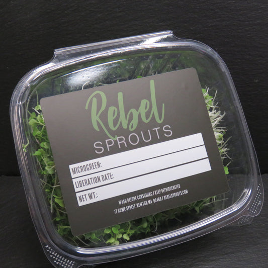 Chef-Ready Micro Arugula