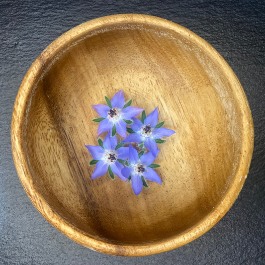 Borage Blooms