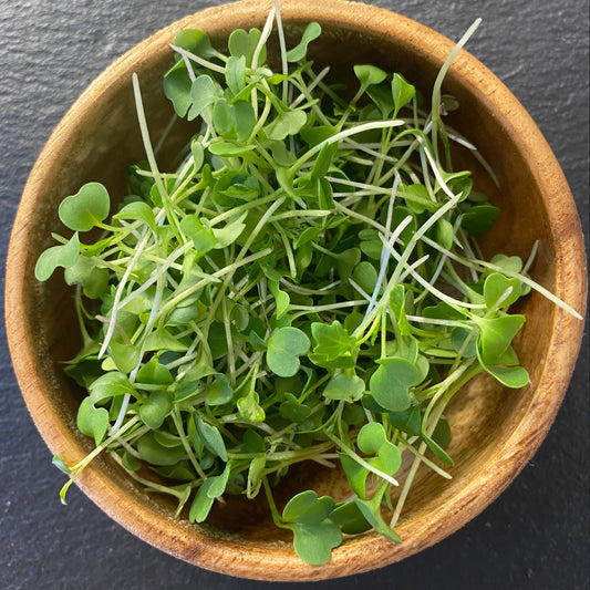 Chef-Ready Spicy Salad Blend