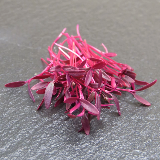Amaranth, Red Garnet
